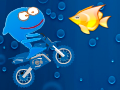 Shark Bike