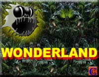 Wonderland