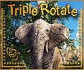 Triple Rotate